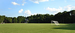 great results from organic athletic turf care