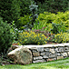click here to learn about our organic tree & shrub care